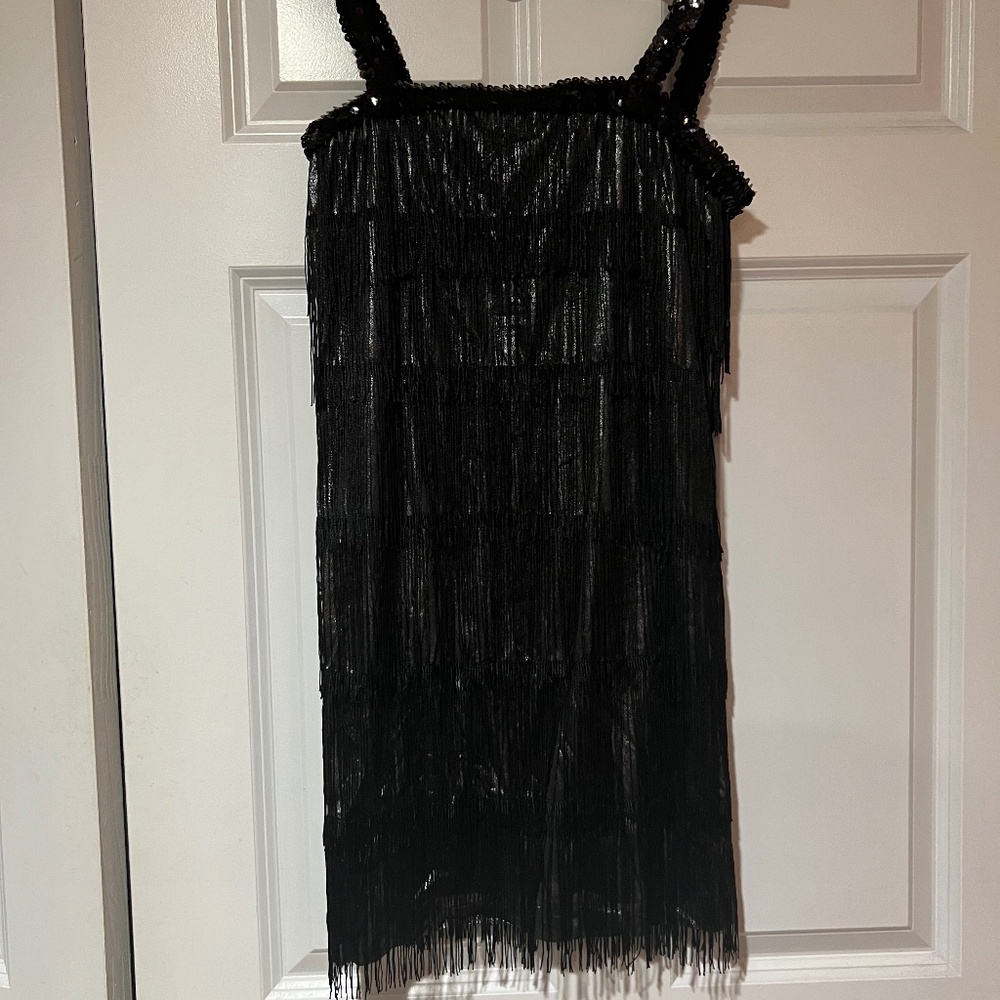 Flapper dress costume